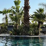 Rammos Managed By Dedeman