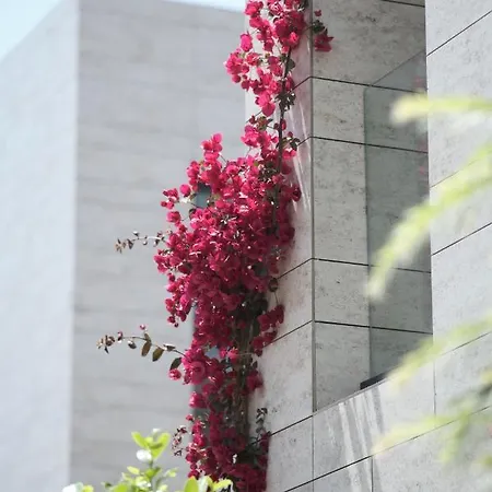 Rammos Managed By Dedeman Bodrum