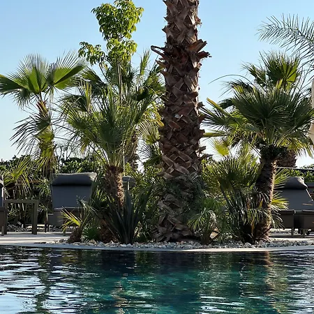 Rammos Managed By Dedeman