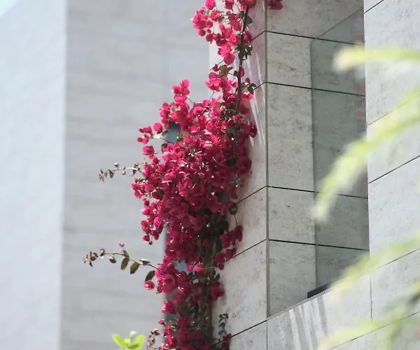 Rammos Managed By Dedeman Bodrum